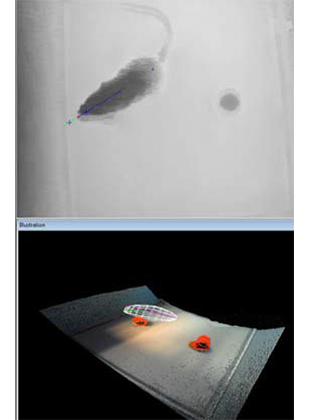 動(dòng)物行為學(xué)_動(dòng)物常規實(shí)驗行為分析系統